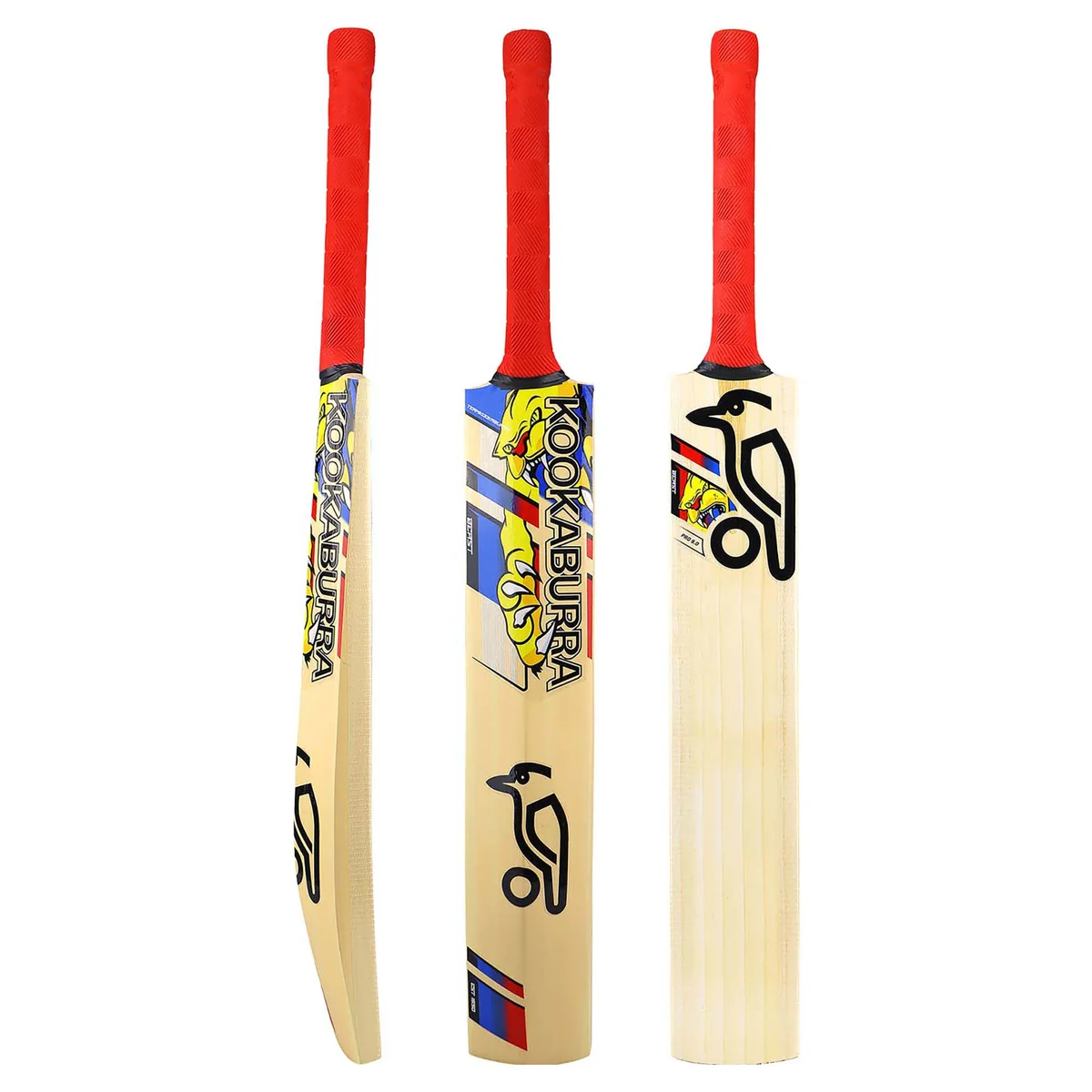 00BKA243-1 – BEAST PRO 9.0 Junior Cricket Bat