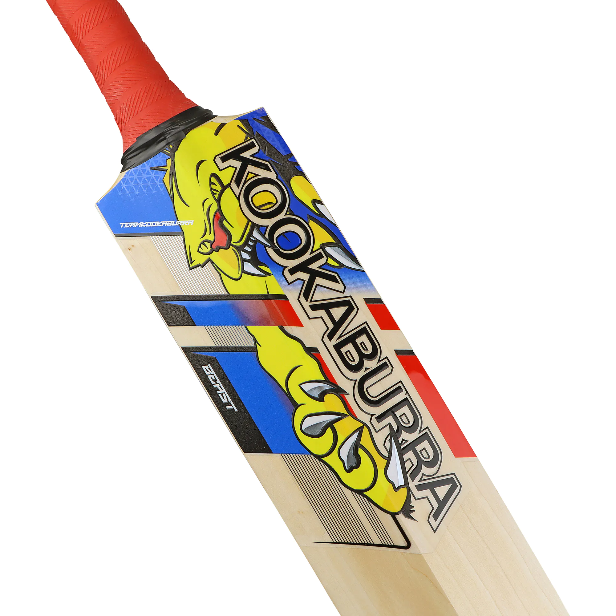 00BEA247-1 – Beast Pro Players Cricket Bat