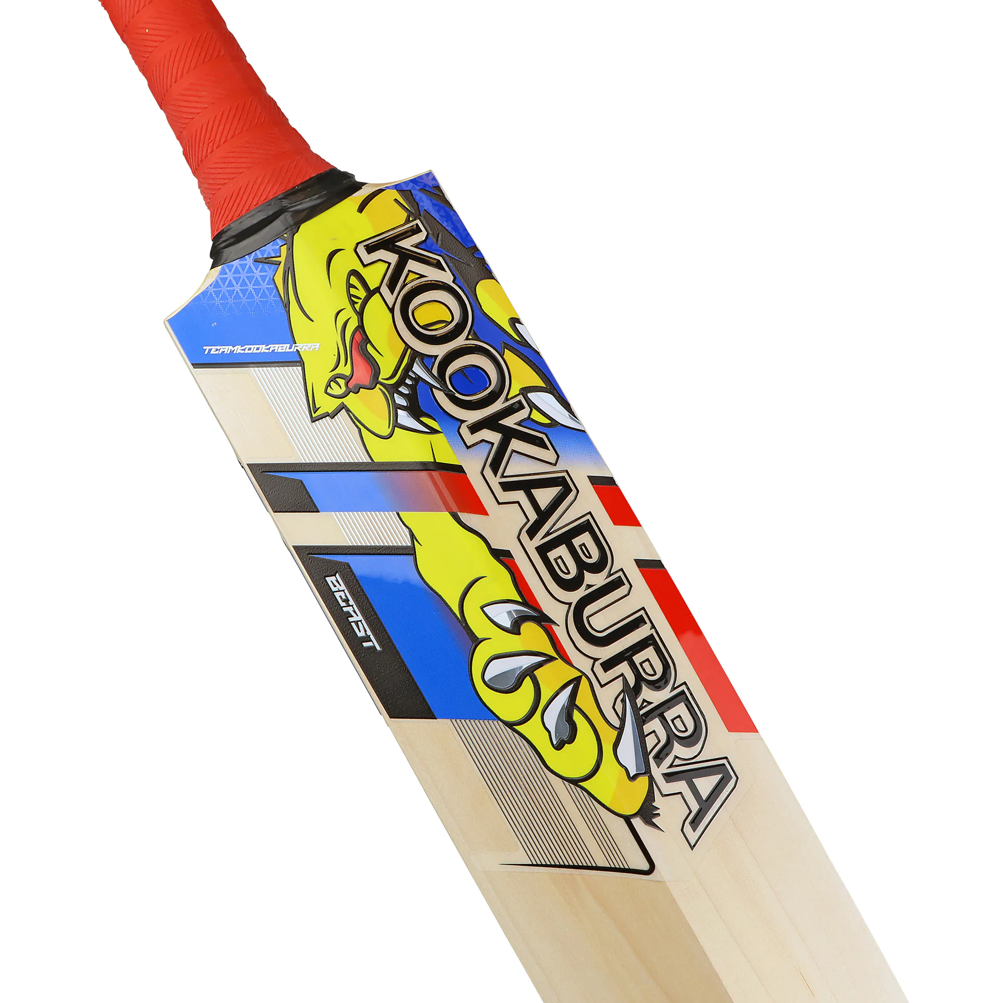 0BEA241A-1 – Beast Pro 4.0 Cricket Bat