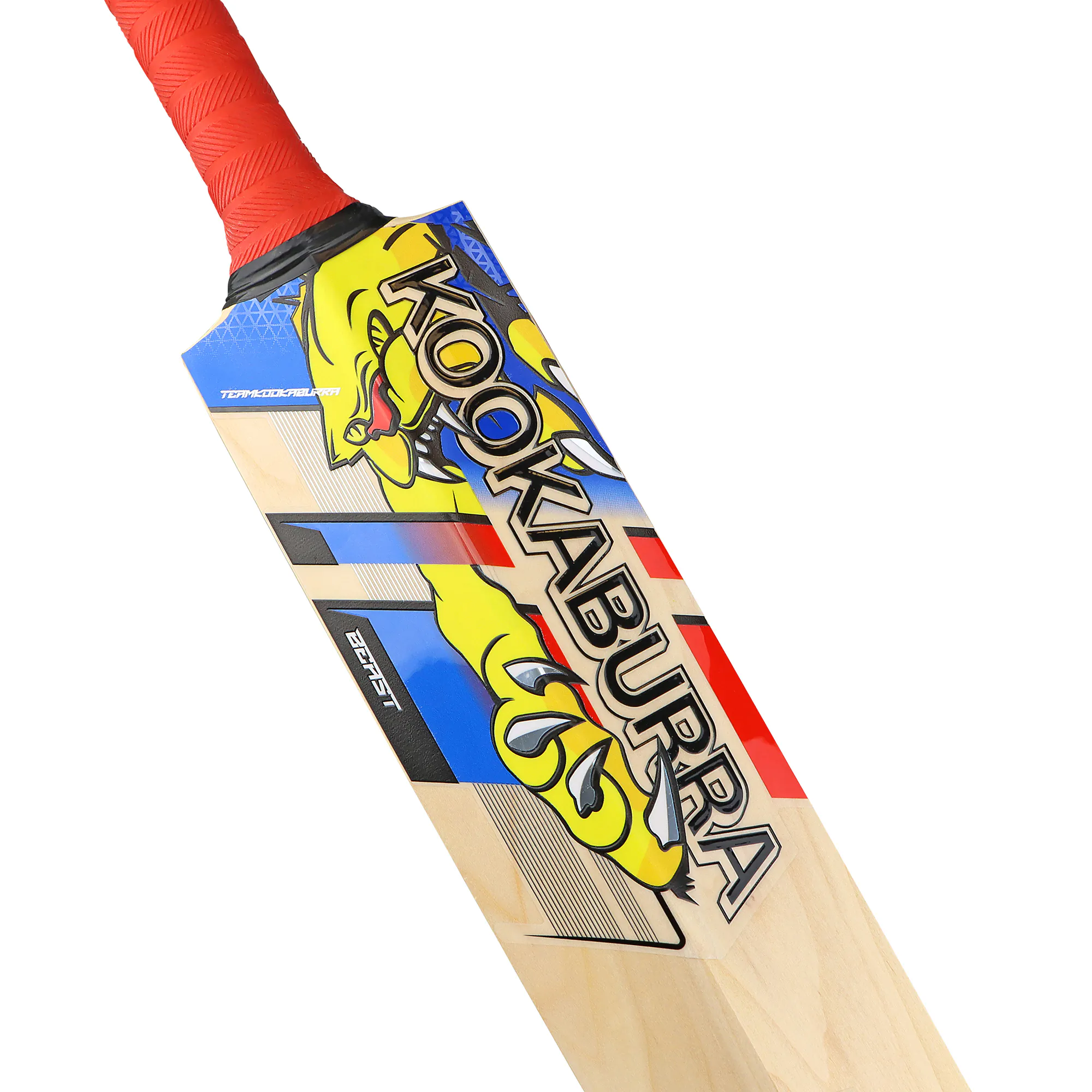 0BEA2434-2 – Beast Pro 6.0 Junior Cricket Bat