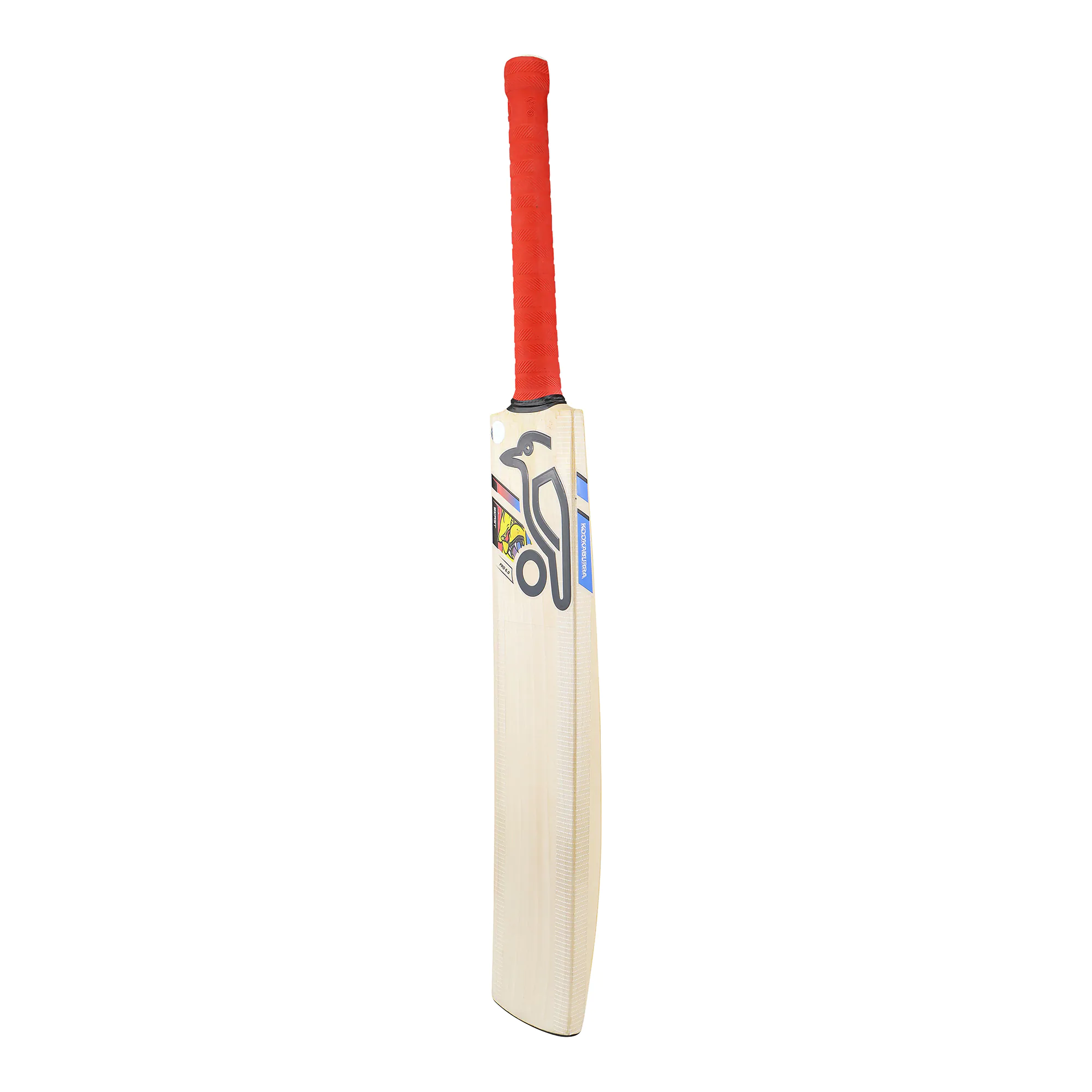 2A14357 - Beast Pro 6.0 Cricket Bat - 2