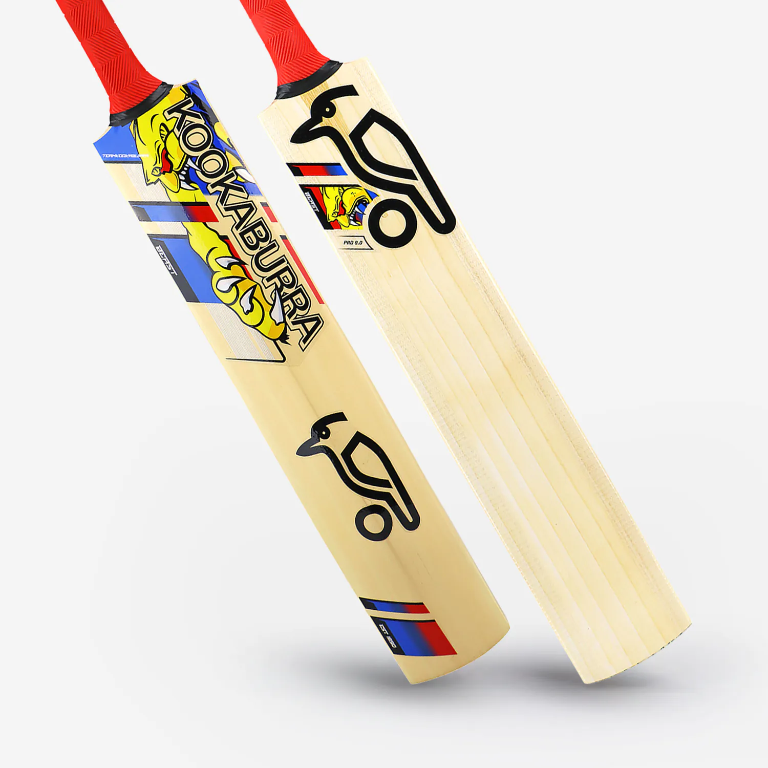 00BKA243-1 – BEAST PRO 9.0 Junior Cricket Bat